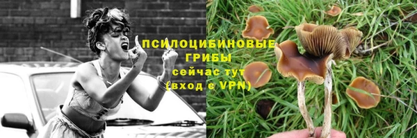 кокаин колумбия Алексеевка